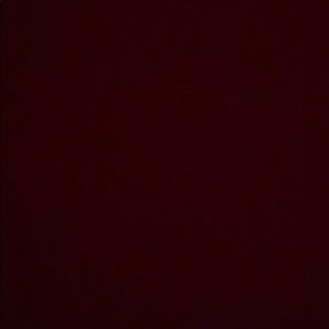 Meet your Posher, Hayleigh